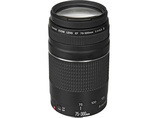 Фотоапарат Canon EOS 2000D Kit (18-55mm DC III + 75-300mm)