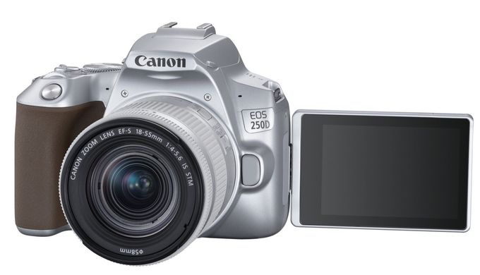 Зеркальный фотоаппарат Canon EOS 250D kit 18-55mm IS STM Silver