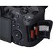 Фотоапарат  Canon EOS R6 Mark II Kit 24-105mm IS