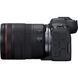Фотоаппарат Canon EOS R6 Mark II Kit 24-105mm IS STM UA