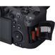 Фотоаппарат Canon EOS R6 Mark II Kit 24-105mm IS STM UA
