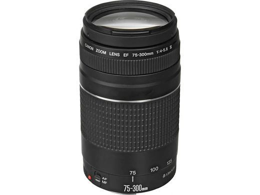 Фотоаппарат Canon EOS 2000D Kit (18-55mm) IS II (2728C008) UA
