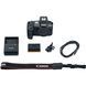 Фотоаппарат Canon EOS R body (3075C065) UA