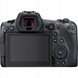 Беззеркальный фотоаппарат Canon EOS R5 Mark II Kit RF 24-105mm f/4.0 L IS USM Black (6536C029)