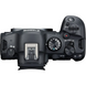 Бездзеркальний фотоапарат Canon EOS R6 Mark II Kit 24-105mm IS STM (5666C030)