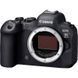Фотоаппарат Canon EOS R6 Mark II Body (5666C031) UA