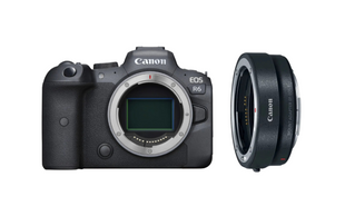 Фотоаппарат Canon EOS R6 + MT ADP EF-EOS R UA