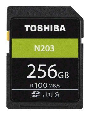 Карта памяти Toshiba Exceria R100 N203 256GB THN-N203N2560E4